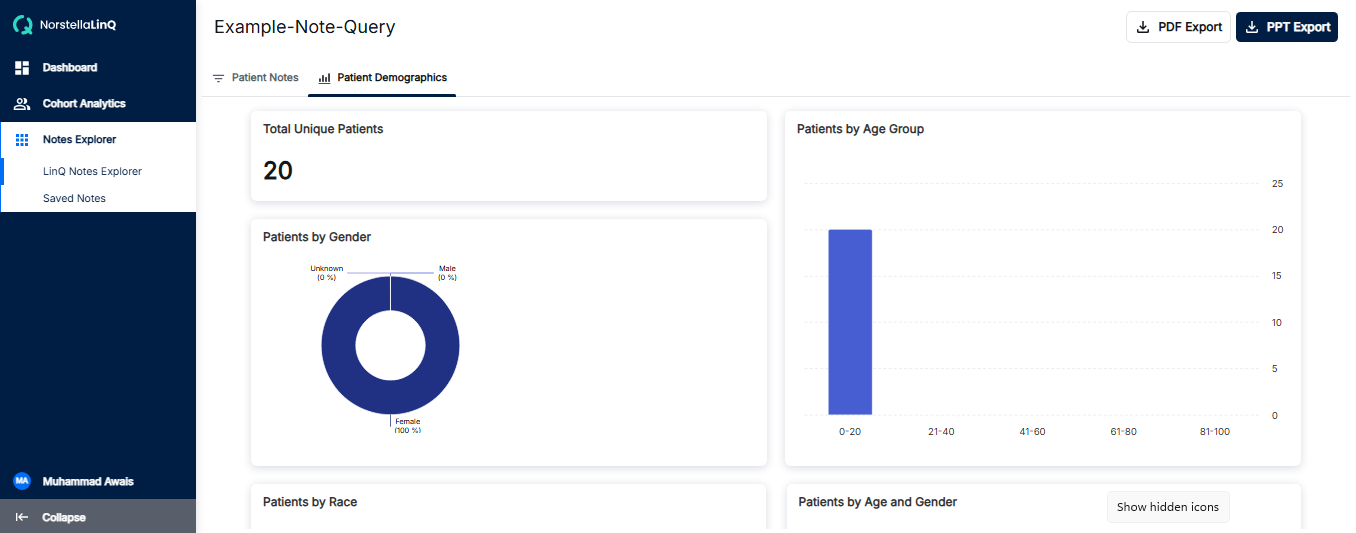 Note Query Build Result - Patient Demographics